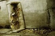作品画像
