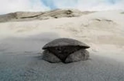 作品画像