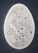 作品画像