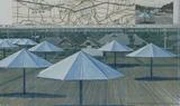 作品画像