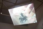 作品画像