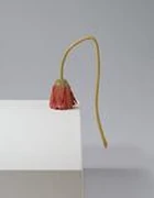 作品画像