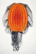 作品画像