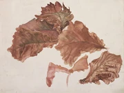 作品画像