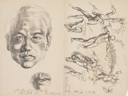 作品画像