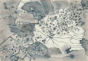 作品画像