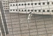 作品画像