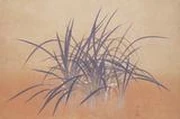 作品画像