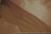 作品画像