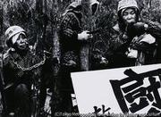 作品画像