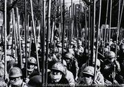 作品画像