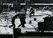 作品画像