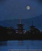 作品画像