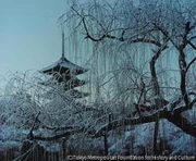 作品画像