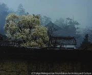 作品画像