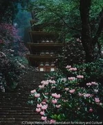 作品画像