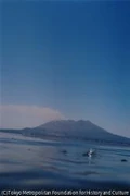 作品画像