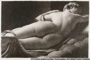 作品画像