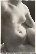 作品画像