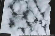 作品画像