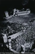 作品画像