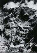 作品画像