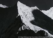 作品画像