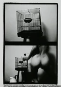 作品画像