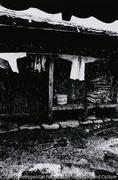 作品画像