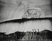 作品画像
