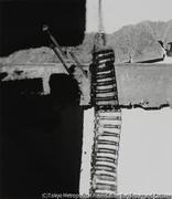 作品画像