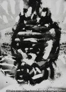 作品画像