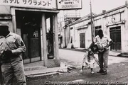 作品画像