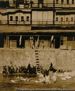 作品画像