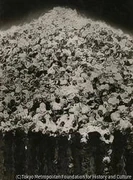 作品画像