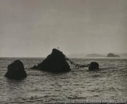 作品画像