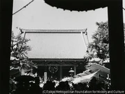 作品画像