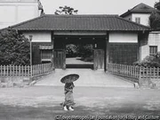 作品画像