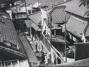 作品画像