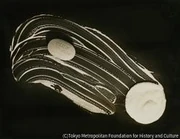 作品画像