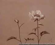 作品画像