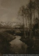 作品画像