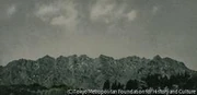 作品画像