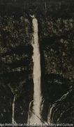 作品画像