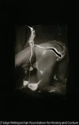 作品画像