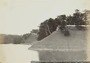 作品画像