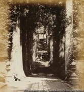 作品画像