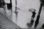 作品画像