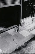 作品画像