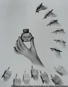 作品画像